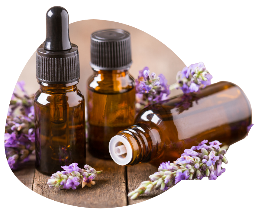 Core-elegance_top_aroma
