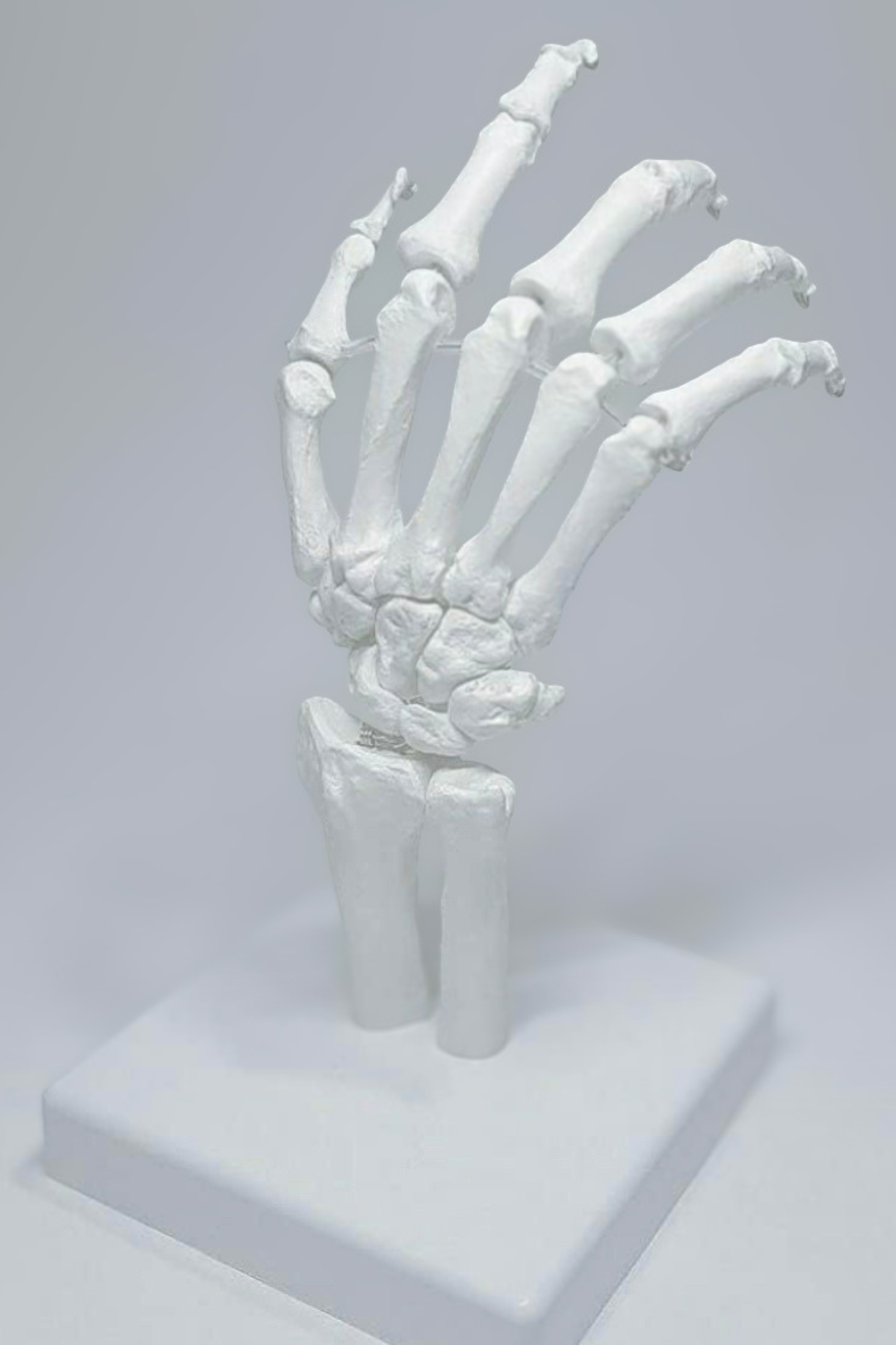 Foot and hand massage_4